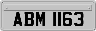 ABM1163