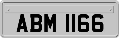 ABM1166