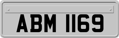 ABM1169