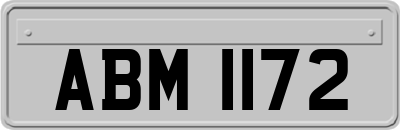 ABM1172