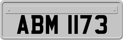 ABM1173