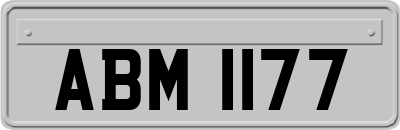 ABM1177