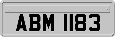 ABM1183