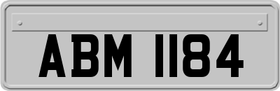 ABM1184