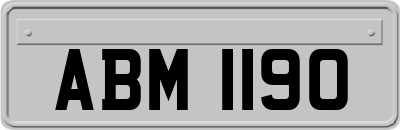 ABM1190