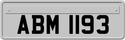 ABM1193