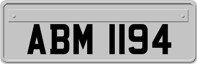 ABM1194