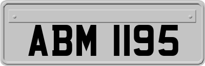ABM1195