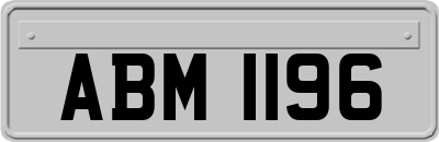 ABM1196
