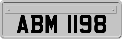 ABM1198