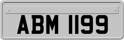 ABM1199