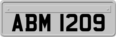 ABM1209
