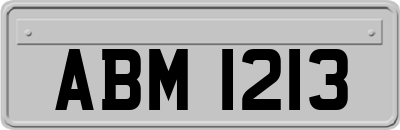 ABM1213