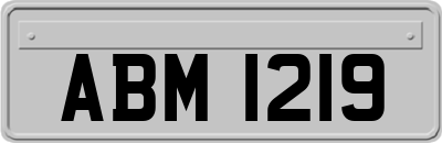 ABM1219