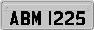 ABM1225