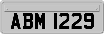 ABM1229