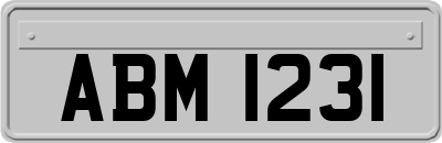 ABM1231