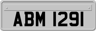 ABM1291
