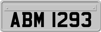 ABM1293