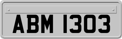 ABM1303