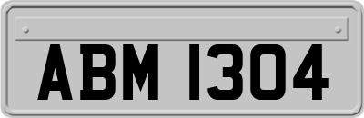ABM1304