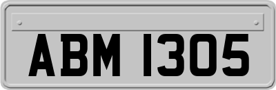 ABM1305