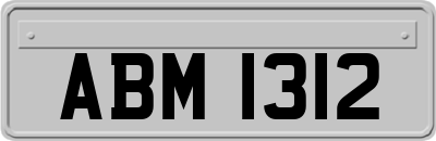 ABM1312