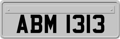 ABM1313