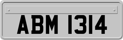 ABM1314