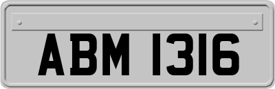ABM1316