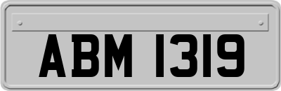 ABM1319