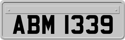 ABM1339