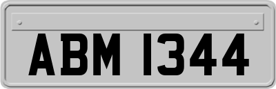 ABM1344