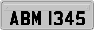 ABM1345