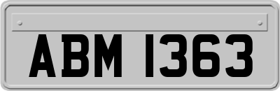 ABM1363
