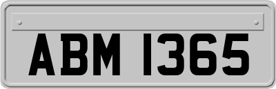 ABM1365