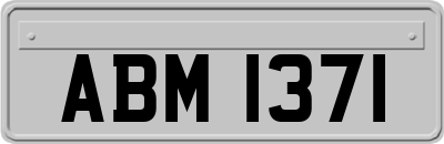 ABM1371