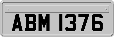 ABM1376