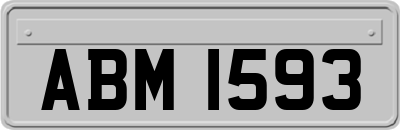 ABM1593