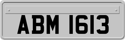 ABM1613