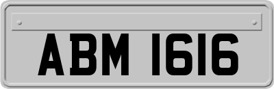 ABM1616