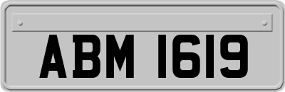 ABM1619