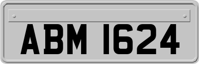 ABM1624