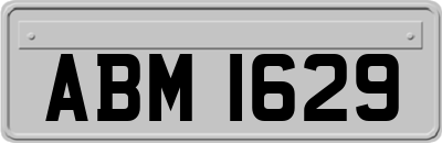 ABM1629