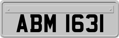 ABM1631