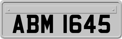 ABM1645