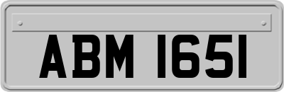ABM1651