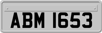 ABM1653