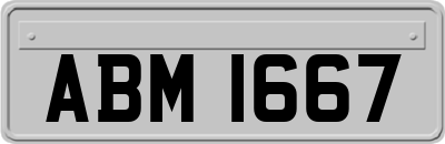 ABM1667