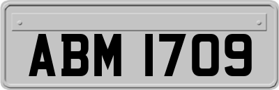 ABM1709